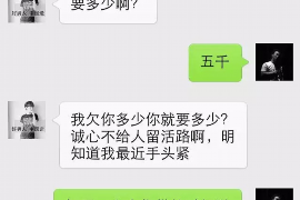 鸡西融资清欠服务